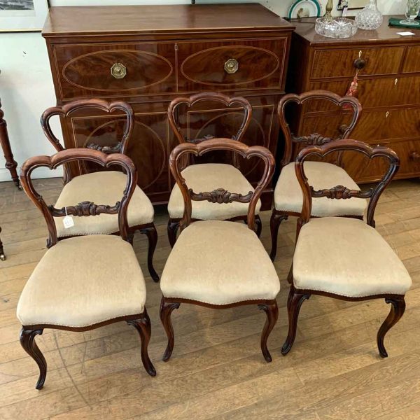 Set Of 6 Victorian Rosewood Balloon, Victorian Spoon Back Dining Chairs Uk